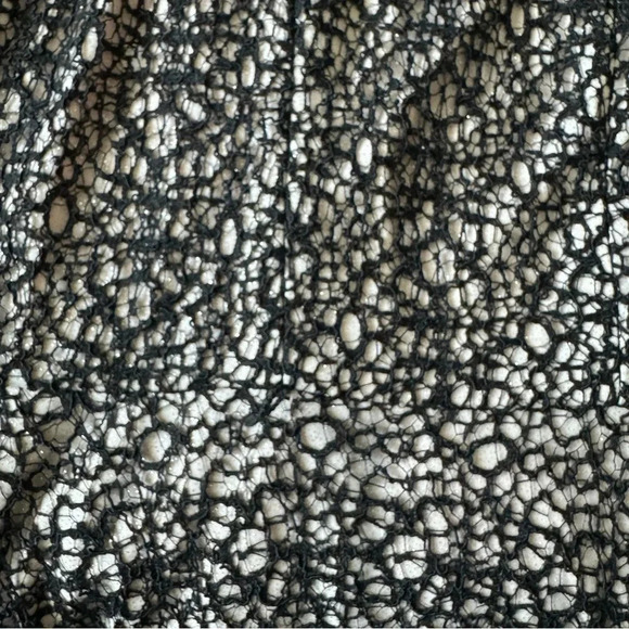 Alex Evenings All Over Lace A-Line Gown Dress Black Nude Size 14 - Picture 9 of 11